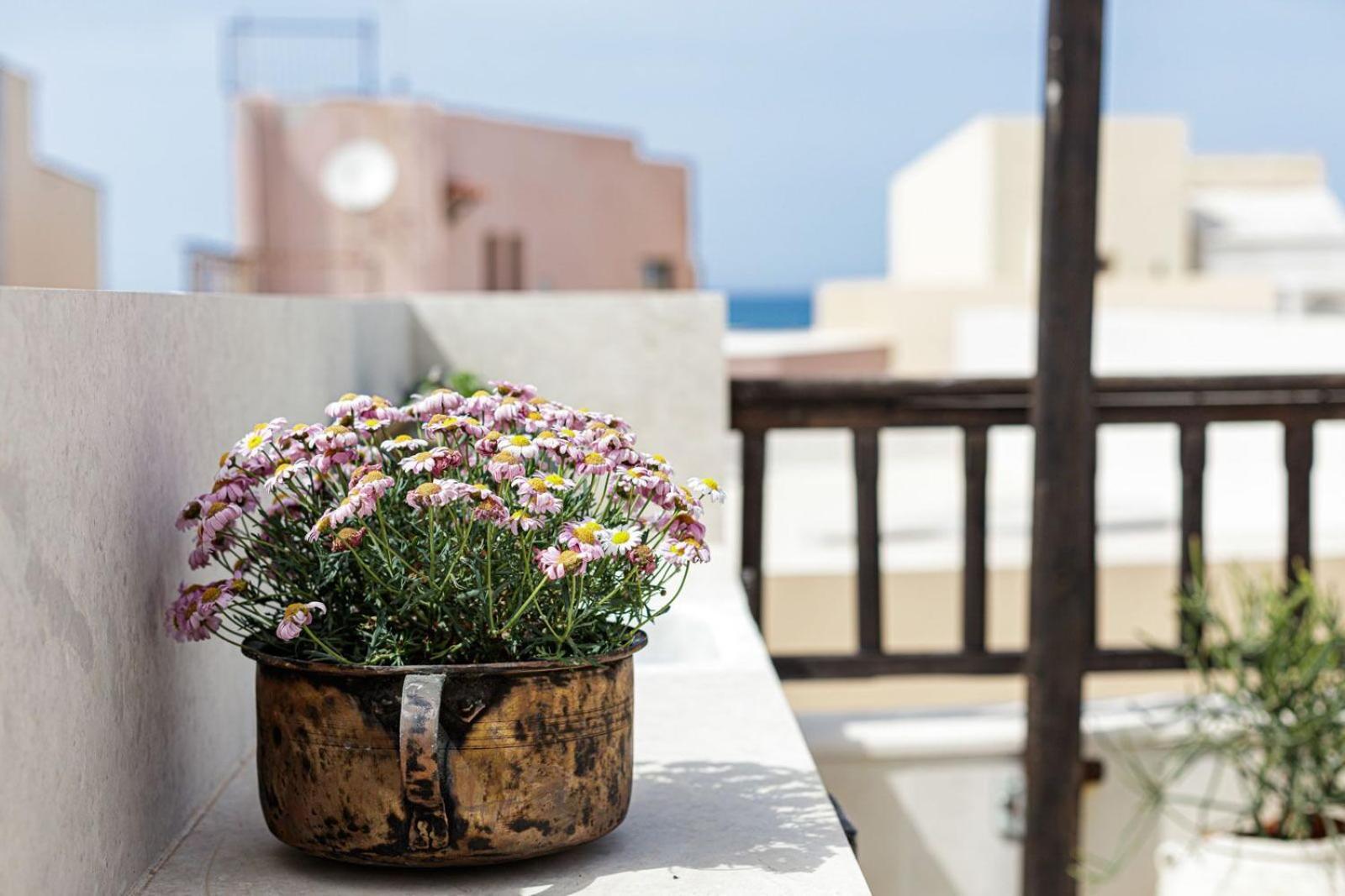 Antonia's House - Old Town Homestay